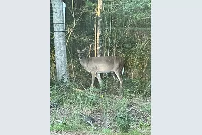 6782 Beaudry Ln, Milton, FL 32570 - Photo 59