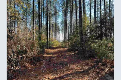 Lot 406 Country Mill Rd, Jay, FL 32565 - Photo 7