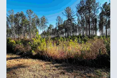 Lot 406 Country Mill Rd, Jay, FL 32565 - Photo 9