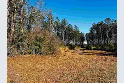 Lot 406 Country Mill Rd, Jay, FL 32565 - Photo 5