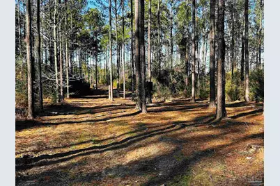 Lot 406 Country Mill Rd, Jay, FL 32565 - Photo 1