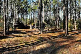 Lot 406 Country Mill Rd, Jay, FL 32565 - Photo 1