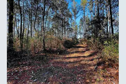 Lot 407 Country Mill Rd, Jay, FL 32565 - Photo 1