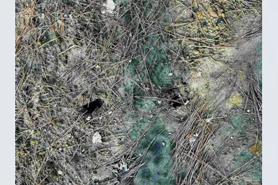 Lot 407 Country Mill Rd, Jay, FL 32565 - Photo 9