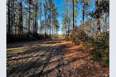 Lot 407 Country Mill Rd, Jay, FL 32565 - Photo 3