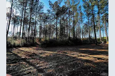 Lot 407 Country Mill Rd, Jay, FL 32565 - Photo 5