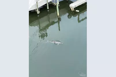 28250 Canal Rd #908, Orange Beach, AL 36561 - Photo 39