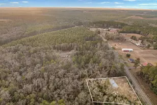 10501 Hwy 97 A, McDavid, FL 32568 - Photo 11