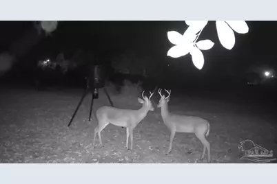 2033 Chavers Rd, Cantonment, FL 32533 - Photo 41