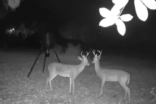 2033 Chavers Rd, Cantonment, FL 32533 - Photo 41