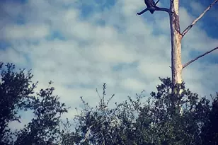 1956 Crown Pointe Blvd, Pensacola, FL 32506 - Photo 49