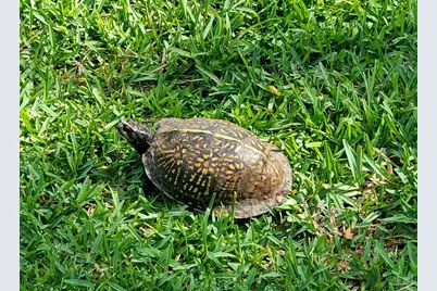 1956 Crown Pointe Blvd, Pensacola, FL 32506 - Photo 51