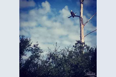 1956 Crown Pointe Blvd, Pensacola, FL 32506 - Photo 49