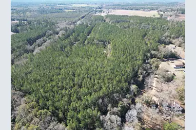 0 Old Fannie Rd, Flomaton, AL 36441 - Photo 5