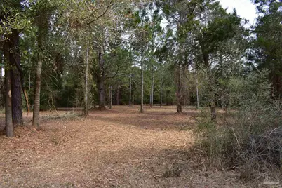0000 Pat Brown Rd, Milton, FL 32570 - Photo 17