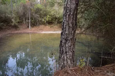 0000 Pat Brown Rd, Milton, FL 32570 - Photo 11