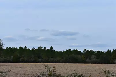 0000 Pat Brown Rd, Milton, FL 32570 - Photo 7