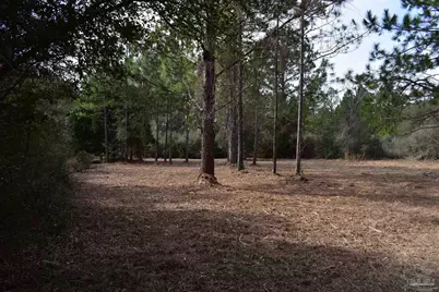 0000 Pat Brown Rd, Milton, FL 32570 - Photo 19