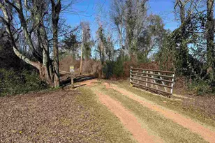 3401 Rocky Rd, Jay, FL 32565 - Photo 39