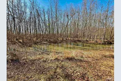 3401 Rocky Rd, Jay, FL 32565 - Photo 37