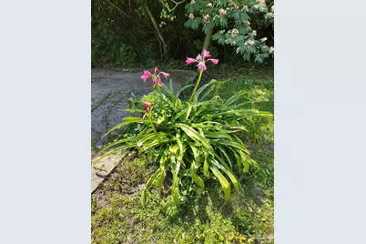 4611 Gunter Rd, Milton, FL 32570 - Photo 27