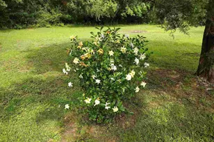 4611 Gunter Rd, Milton, FL 32570 - Photo 27