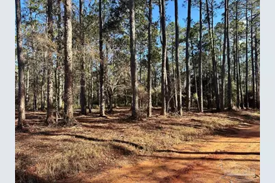 0 Avalon Blvd, Milton, FL 32583 - Photo 5