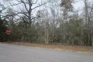 4700 White Ash Rd, Cantonment, FL 32577 - Photo 1