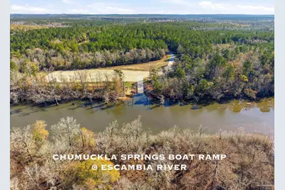 Lot 43 Mineral Springs Rd, Jay, FL 32565 - Photo 3