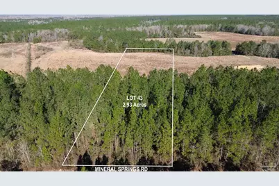 Lot 43 Mineral Springs Rd, Jay, FL 32565 - Photo 1