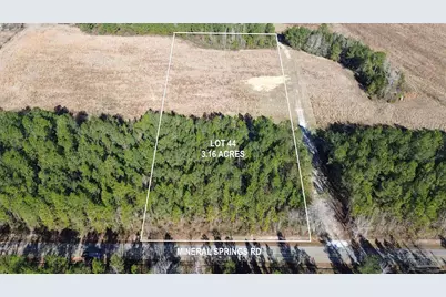 Lot 44 Mineral Springs Rd, Jay, FL 32565 - Photo 1