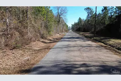 Lot 44 Mineral Springs Rd, Jay, FL 32565 - Photo 5