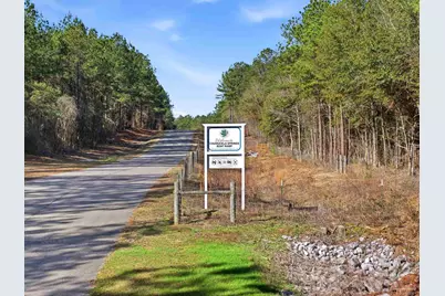 Lot 45 Mineral Springs Rd, Jay, FL 32565 - Photo 3