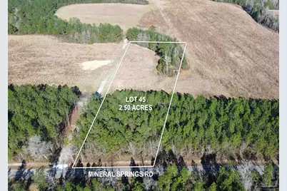 Lot 45 Mineral Springs Rd, Jay, FL 32565 - Photo 1