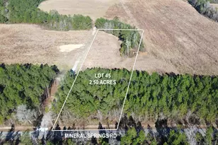 Lot 45 Mineral Springs Rd, Jay, FL 32565 - Photo 1