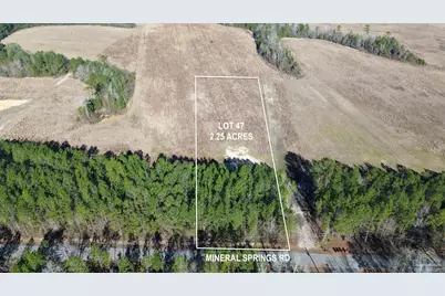 Lot 47 Mineral Springs Rd, Jay, FL 32565 - Photo 1