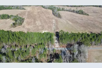 Lot 57 Mineral Springs Rd, Jay, FL 32565 - Photo 3