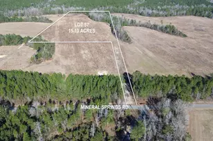 Lot 57 Mineral Springs Rd, Jay, FL 32565 - Photo 1