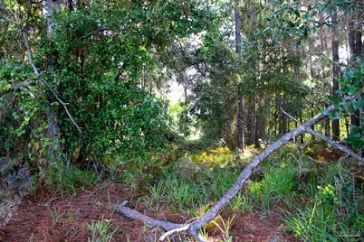 1621 Mauna Kea Ct, Gulf Breeze, FL 32563 - Photo 9