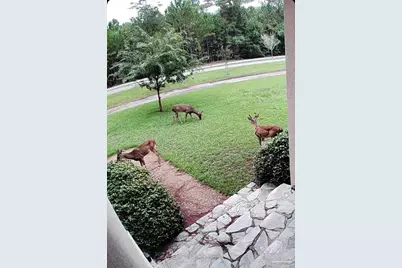 4356 Judges Bayou, Milton, FL 32583 - Photo 3