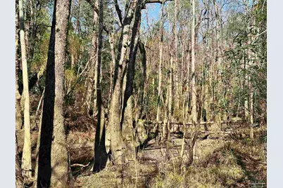 3700 Vantage Rd, Cantonment, FL 32533 - Photo 17