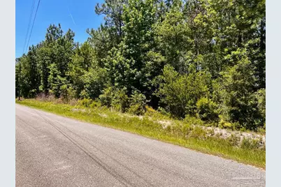 Lot 41 Mineral Springs Rd, Jay, FL 32565 - Photo 5