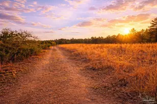 Lot 41 Mineral Springs Rd, Jay, FL 32565 - Photo 1