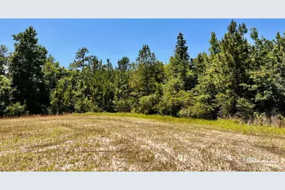 Lot 41 Mineral Springs Rd, Jay, FL 32565 - Photo 15
