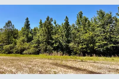 Lot 41 Mineral Springs Rd, Jay, FL 32565 - Photo 13