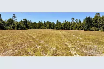 Lot 41 Mineral Springs Rd, Jay, FL 32565 - Photo 7