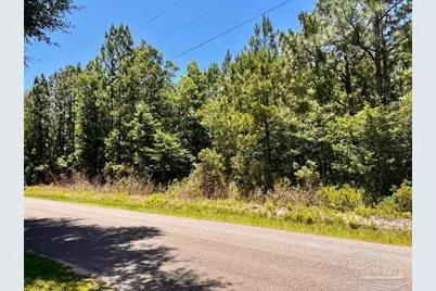 Lot 42 Mineral Springs Rd, Jay, FL 32565 - Photo 3