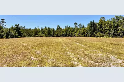 Lot 42 Mineral Springs Rd, Jay, FL 32565 - Photo 11