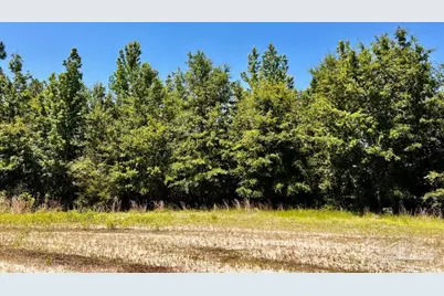 Lot 42 Mineral Springs Rd, Jay, FL 32565 - Photo 15