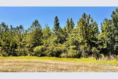 Lot 42 Mineral Springs Rd, Jay, FL 32565 - Photo 13